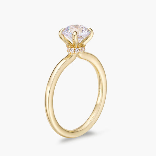 Alis Ring – 14K Goud